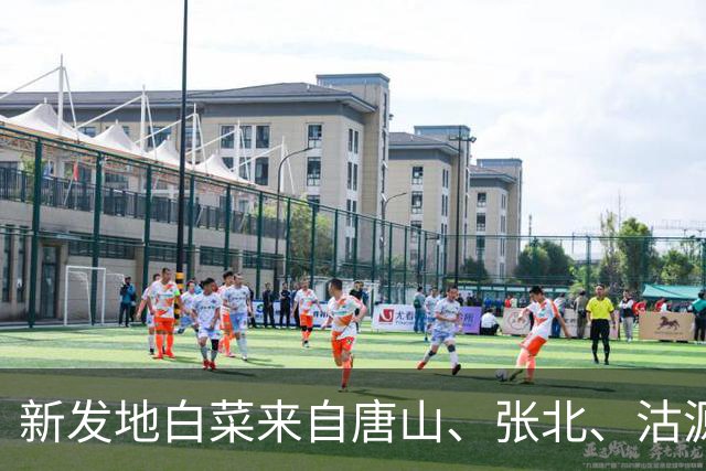 新发地白菜来自唐山、张北、沽源等地，涉事“甲醛白菜”未流入