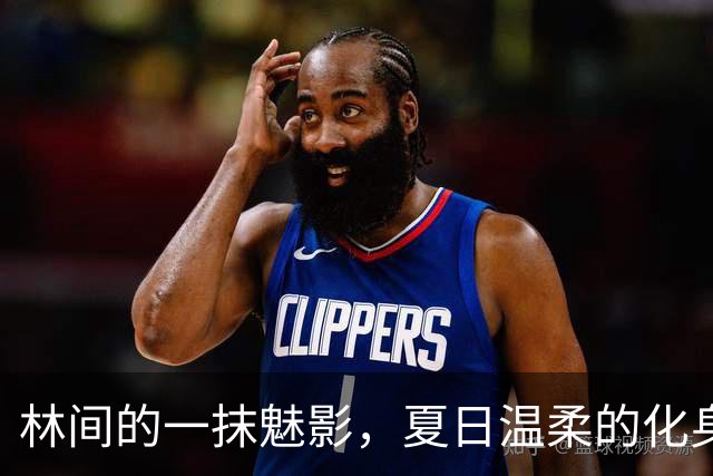 林间的一抹魅影，夏日温柔的化身